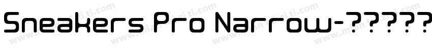Sneakers Pro Narrow字体转换